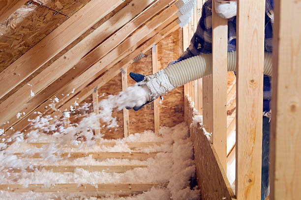 Best Insulation Air Sealing  in Canal Winchester, OH